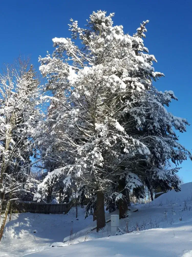 20190204_093135