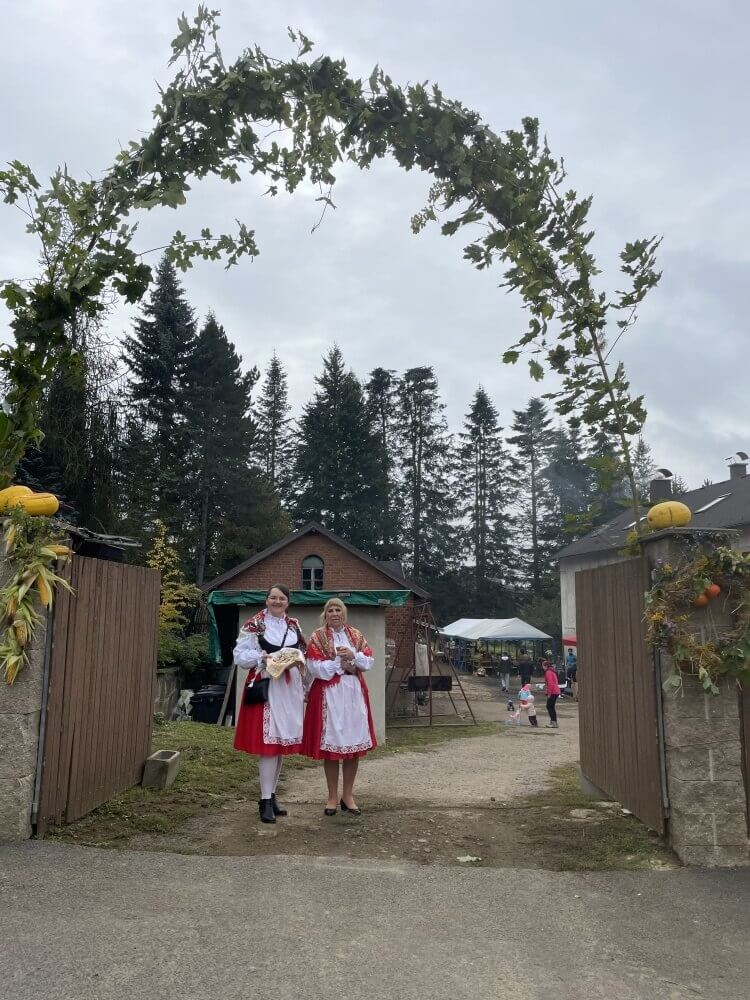Dožinky