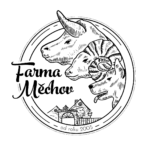 Fame Měchov - od roku 2005